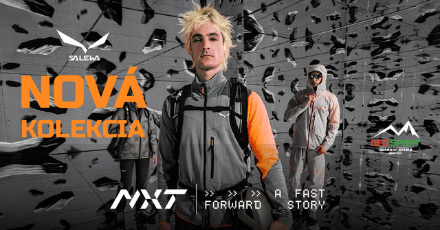 Salewa NXT 25