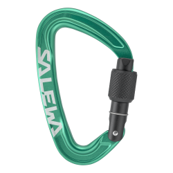 Karab�na SALEWA Ortles Screw Carabiner irish green