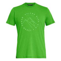 Tri�ko SALEWA Alta Via Dry M t-shirt pale frog